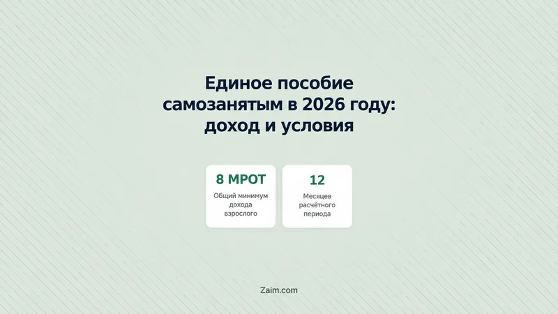 Единое пособие самозанятым в 2026 году: доход и условия