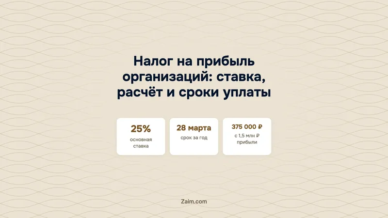 Налог на прибыль организаций: ставка, расчёт и сроки уплаты