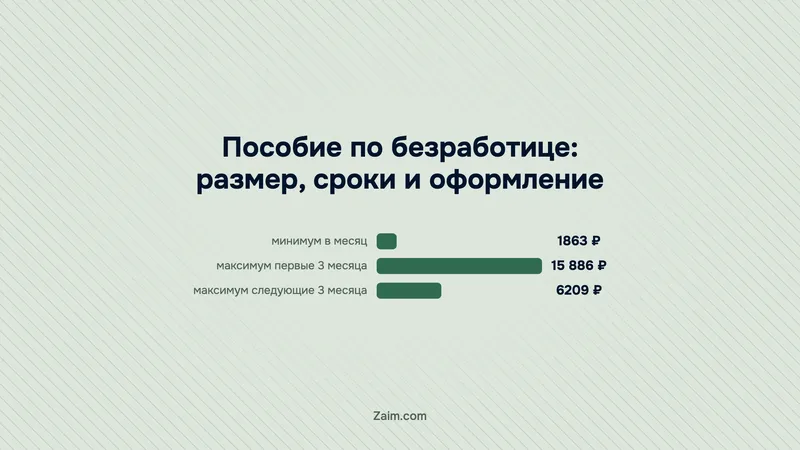 Пособие по безработице: размер, сроки и оформление