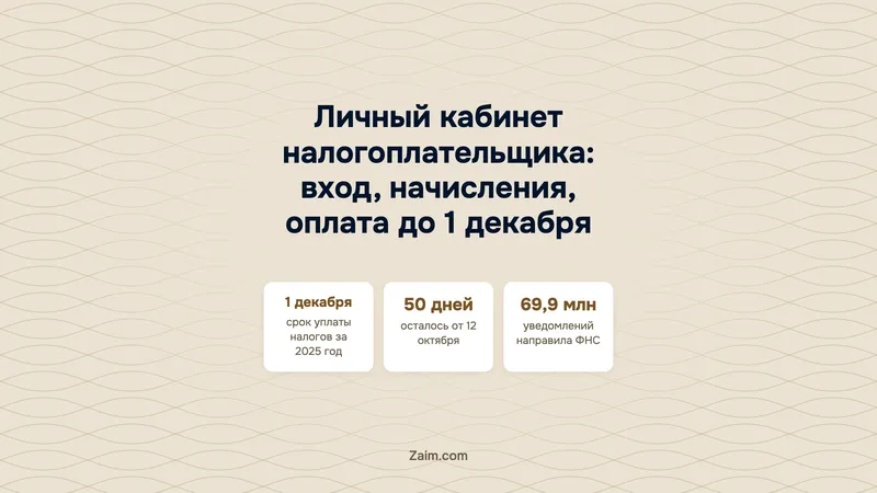 Личный кабинет налогоплательщика: вход, начисления, оплата до 1 декабря
